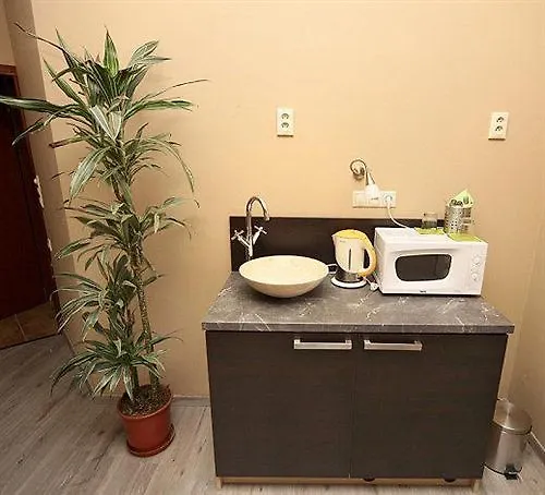 Guest house Penzion Dvorakova Brno