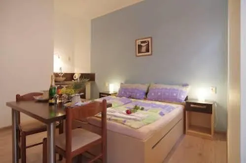 Guest house Penzion Dvorakova Brno