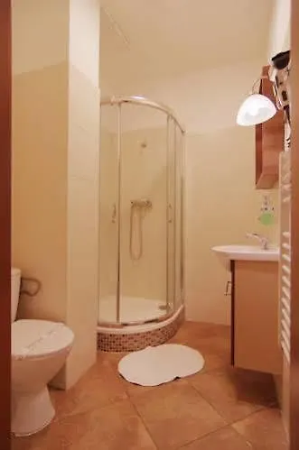 Guest house Penzion Dvorakova Brno